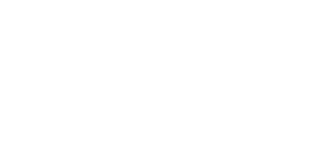 lyndale college
