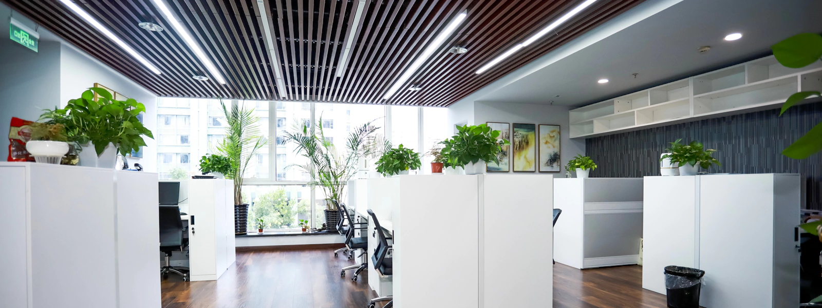 The Do’s and Don’ts of Office Fitouts