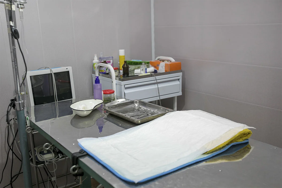 vet fitouts